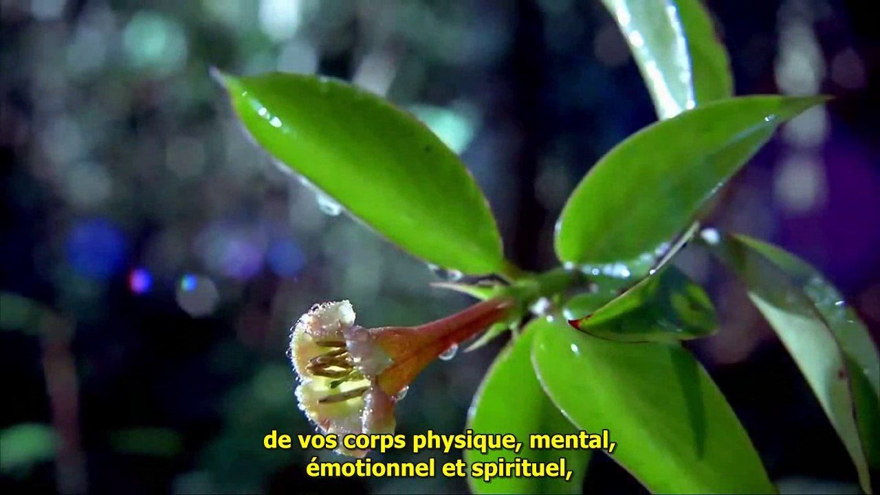 Clés des Pléiades pour la Bibliothèque vivante 2/3 FR