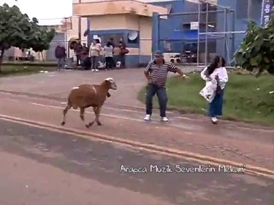 KOÇ KADINI NASIL VURUYOR  MUTLAKA İZLE  KOPMAK GARANTİ ..... :)