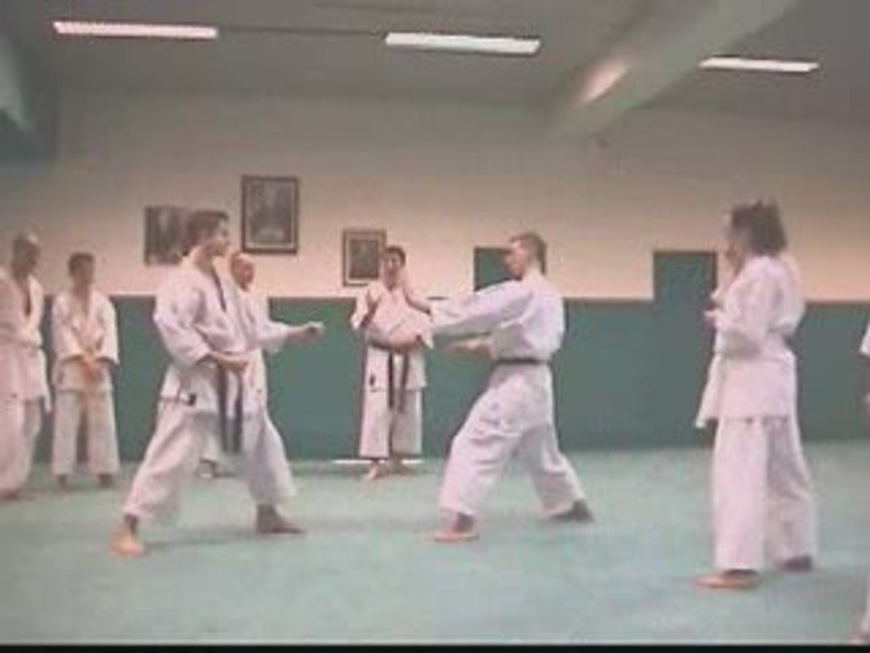 randori  tai jitsu