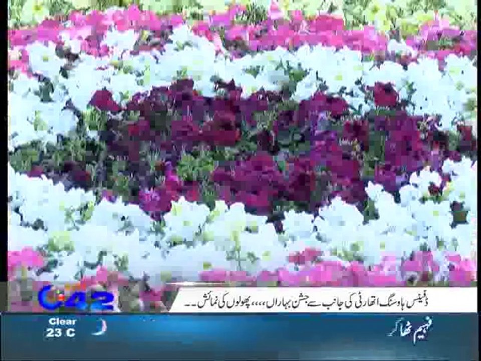 C42 News Bulletin 30 March 2014