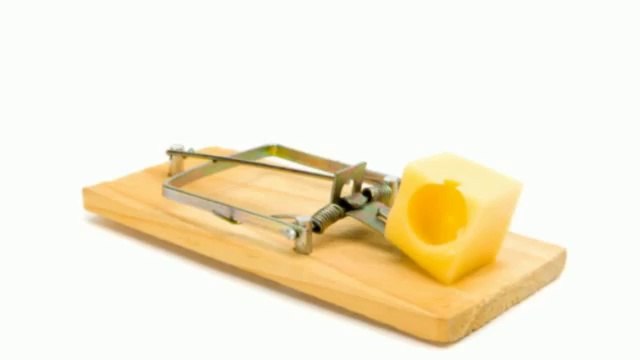 Fed Up Pest Control (610) 255-7722