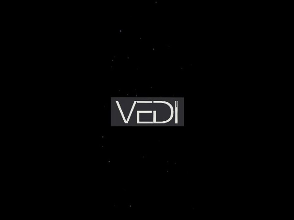 2014 Spring Summer Vedi
