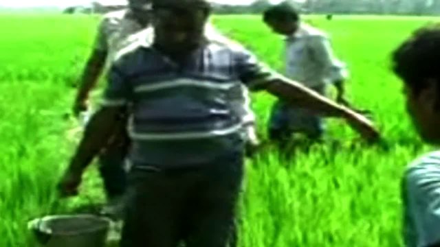 TMC alleges CPM hurl bomb