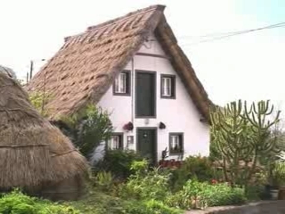 fotos da madeira norte de sao vicente