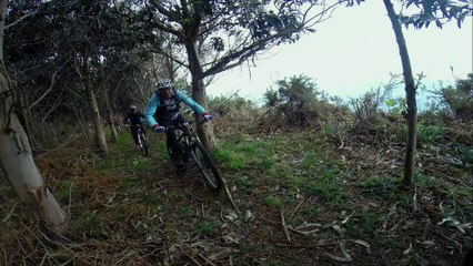 Quedada Palmeiro 2014    parte II