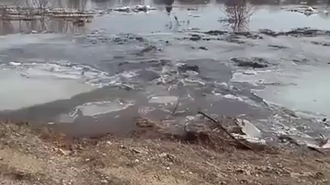 I Bet You Have Not Seen anything Like This Ever Before