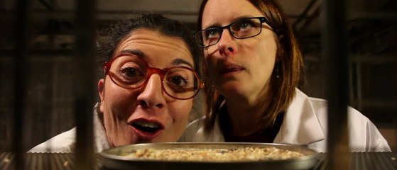 Comme un Rat "Hahiho"