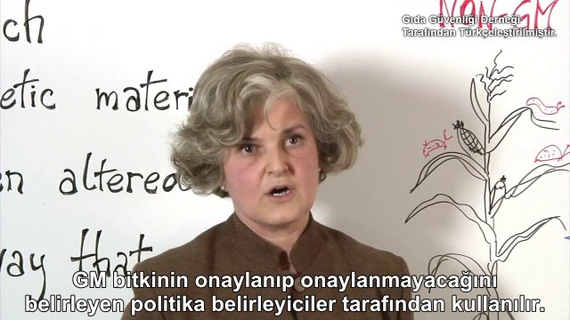 Genetiği Değiştirilmiş Bitkiler Nelerdir