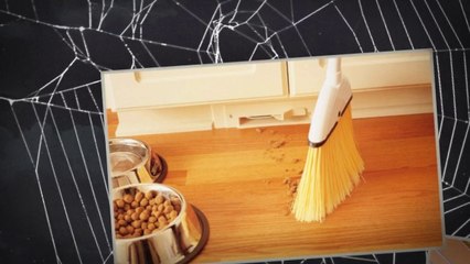 North Vancouver Vacuum Repairs