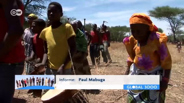 Tanzania: aperos de labranza artesanales | Global 3000