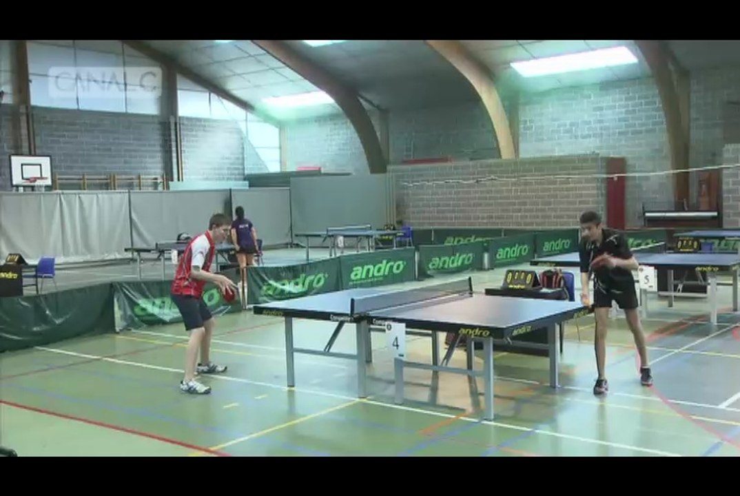 Critérium handi-tennis de table de Profondeville (30/03/2014)