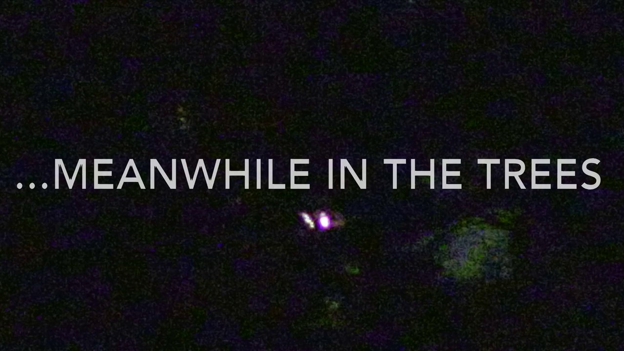 No.33 Ufo's + ET-Visitors over Germany