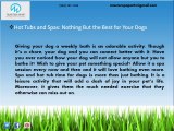 Spas as a Great Retreat for Your Dogs