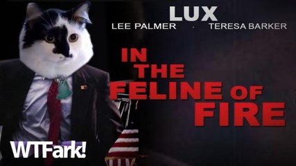 IN THE FELINE OF FIRE: Family Calls 911 After Being Terrorized By... Their Big Fwuffy Putty Tat