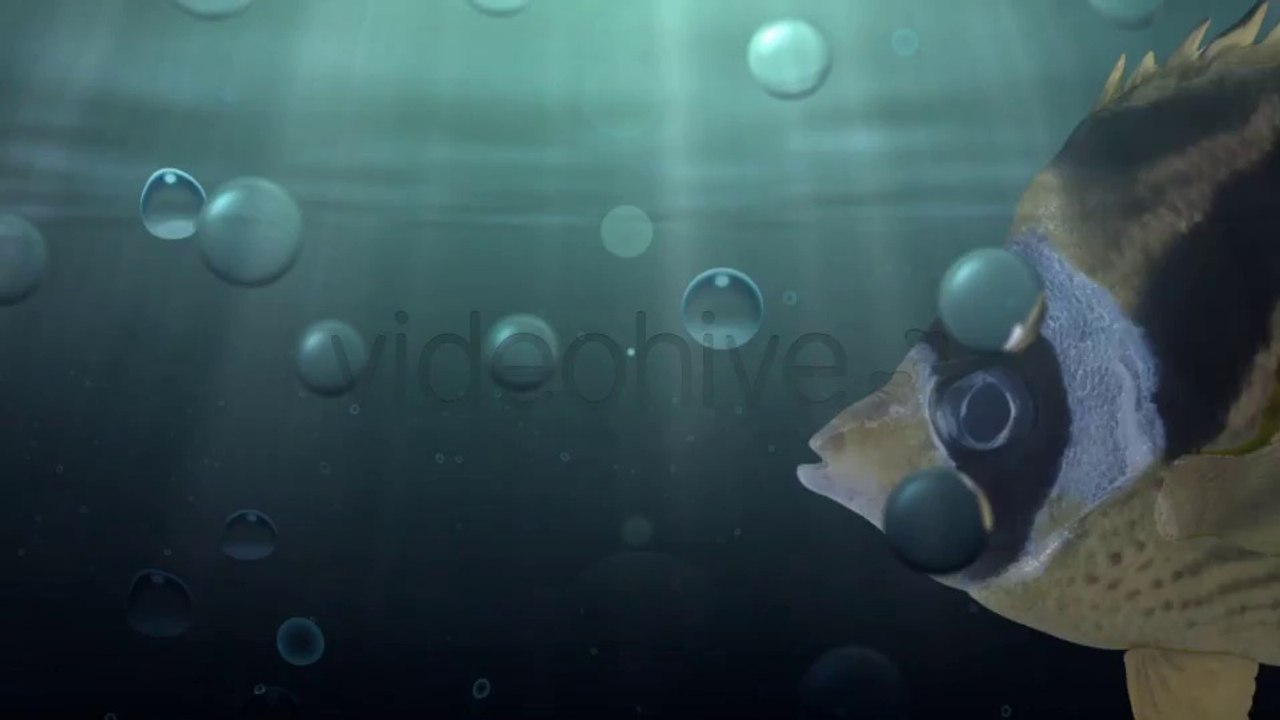 Under Water Logo - After Effects Template