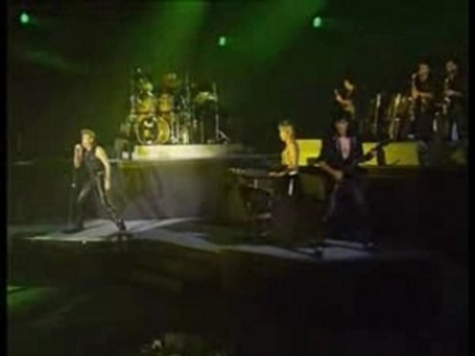 Johnny Hallyday bercy 90