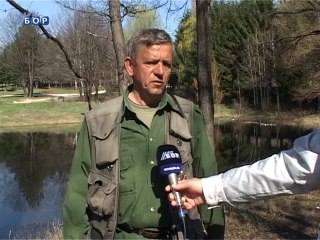 Na Borskom jezeru zabranjen lov šarana do 31. maja, 31. mart 2014.