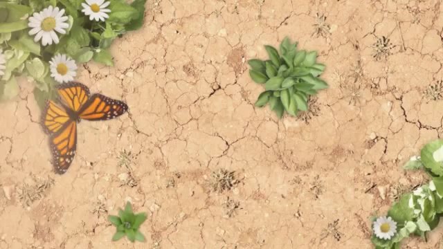 Mini Split SEER Ratings in Springfield (Heat Your Space).