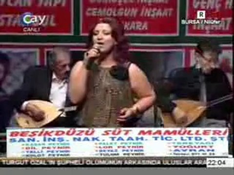 Asri gurbet ,Şu daglar kömurdendir