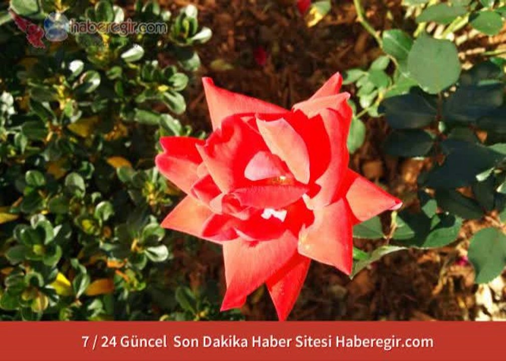 Karabuk Haber
