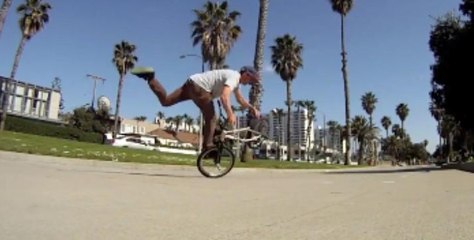 Insane BMX Flat by Terry Adams - VigorWay Lifestyle