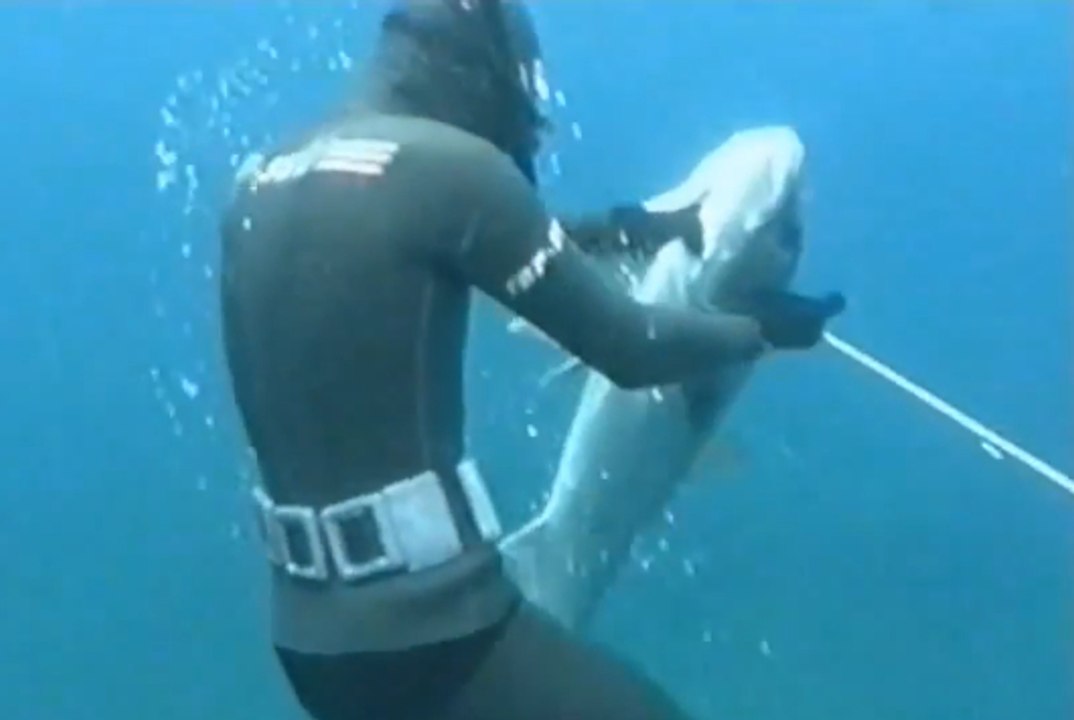 Spearfishing - Giuseppe Tortorella - Amberjack 27 Kg