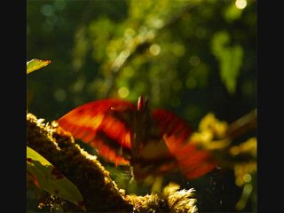 perfect two (wattpad story)