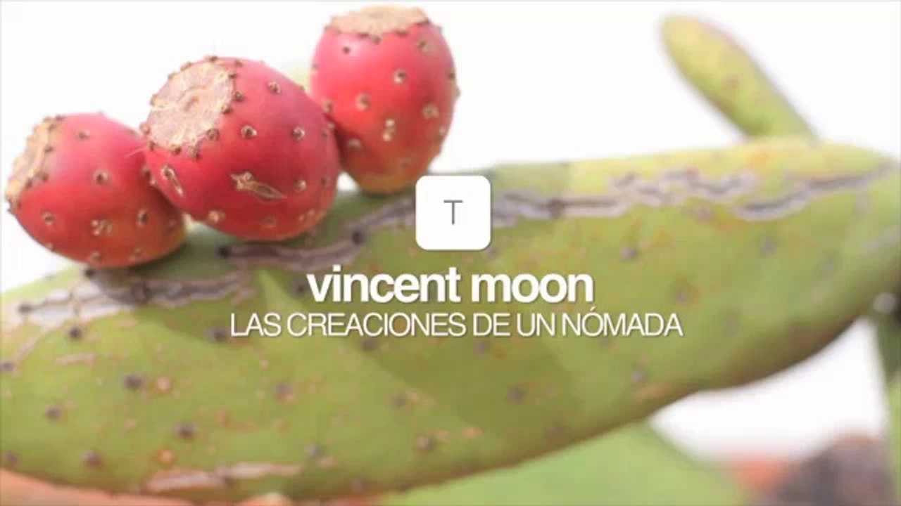 Vincent Moon