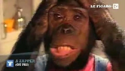 A Zapper (ou pas) : vous trouvez ça normal de voir des "Chimpanzés dans l'espace" ?