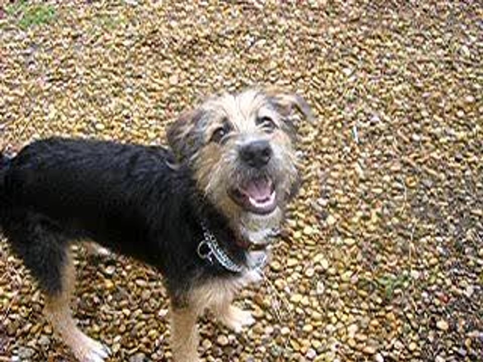 lenny et flocon dehors