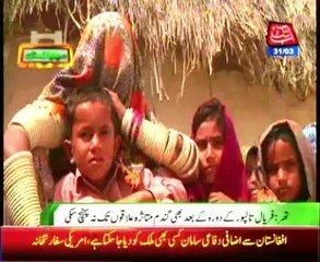 Thar Wheat supply could not reach the affected areas, after Faryal Talpur visit