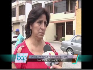 Matanza de mascotas: Desconocidos envenenan a doce canes en el Rímac