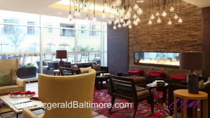The Fitzgerald   Baltimore, MD 21217 Luxury Apartments