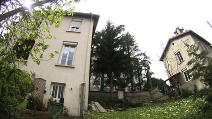 Démontage d'un sapin sans rétention - Timelaps