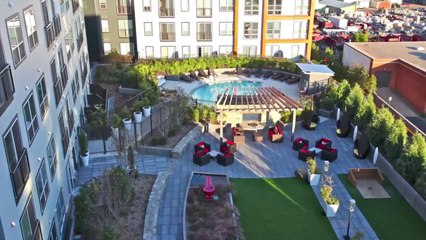 The Lotus at Halstead Square   Virtual Tour