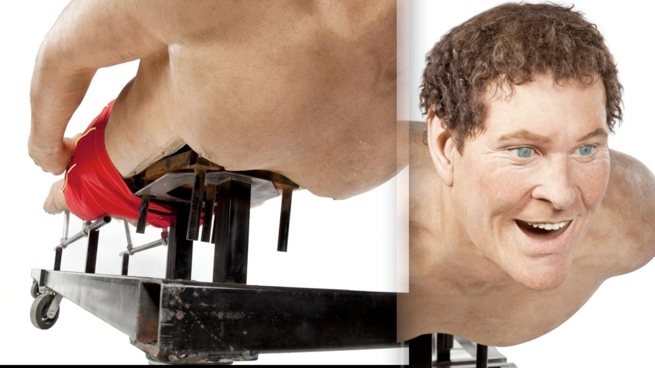 David Hasselhoff Model Could Be Yours!