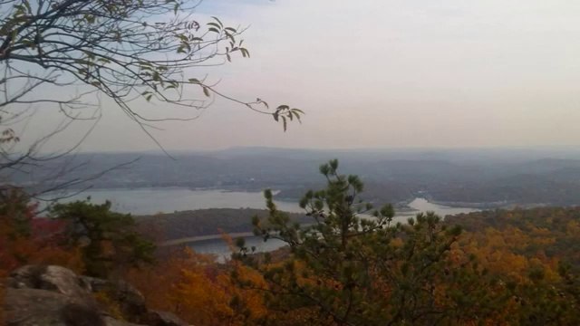 Лесоповал - А Белый Лебедь На Пруду