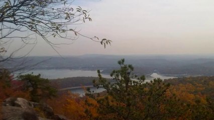 Лесоповал - А Белый Лебедь На Пруду