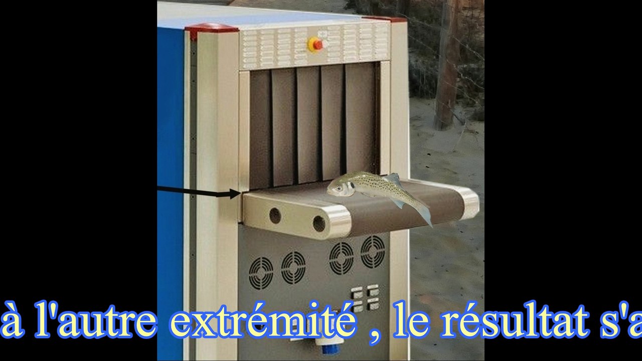 Scanner à poisson à l'entrée des plages !