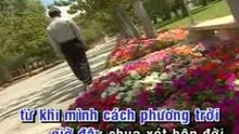 Hat Hiu Tinh Buon - Manh quynh