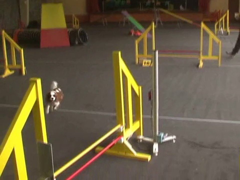 Fiscèle 2e degré Pointis