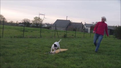 Eclipse 85th Running DW Turns 2014-03-31