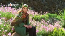 Irán - 1. Paseo turístico en Teherán 2. Mártires de la Sagrada Defensa 3. La Esclerosis Múltiple