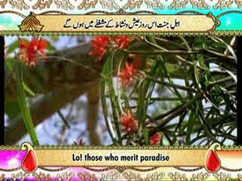 Surah Ya Sin