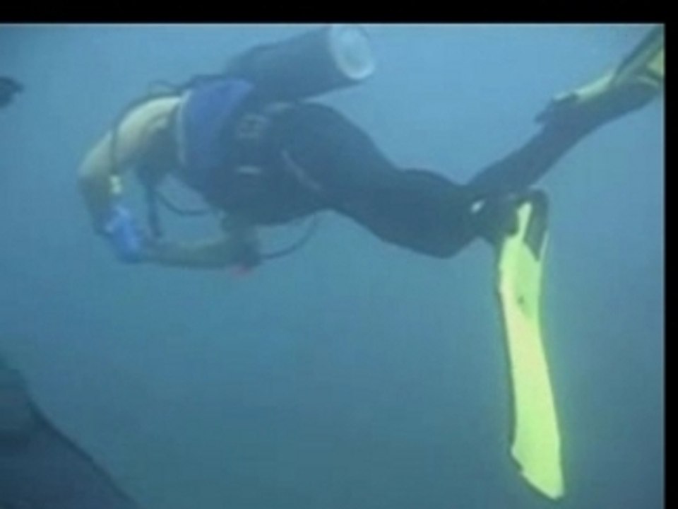 diving salalah
