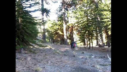 Caviahue 2010 - Parte 3 (Cascadas del Agrio)