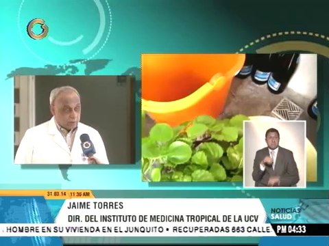 El dengue es una enfermedad principalmente de zonas urbanas