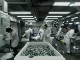 15 storeys high.1x4 - Blue Rat