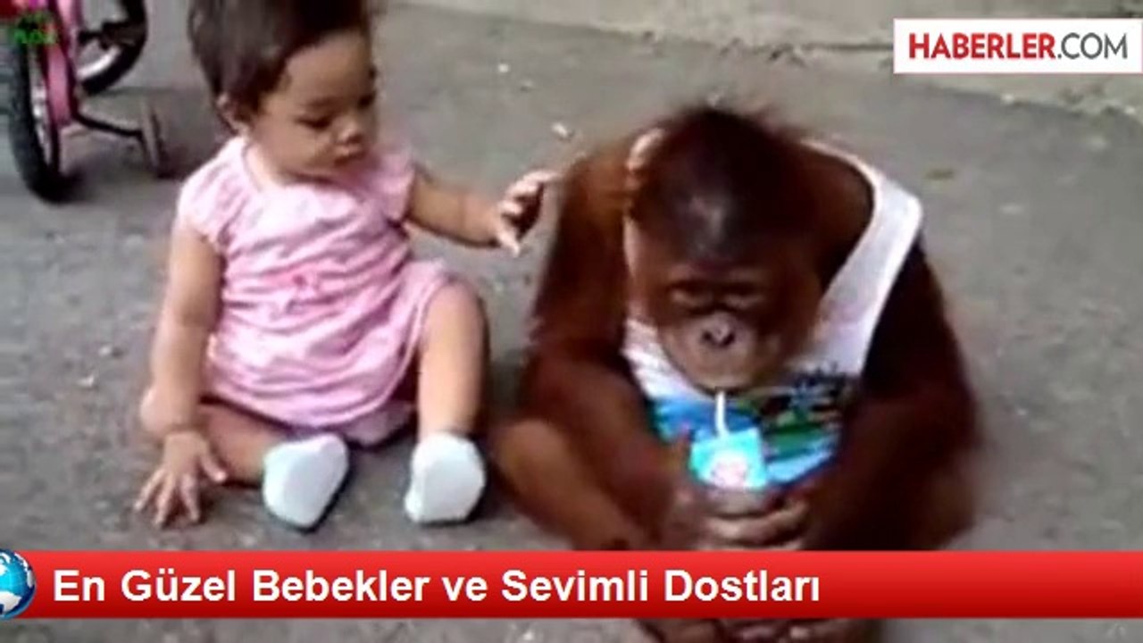 En Güzel Bebekler ve Sevimli Dostları