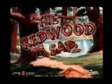 Woody Woodpecker Opening 2